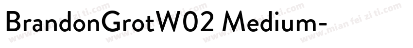 BrandonGrotW02 Medium字体转换